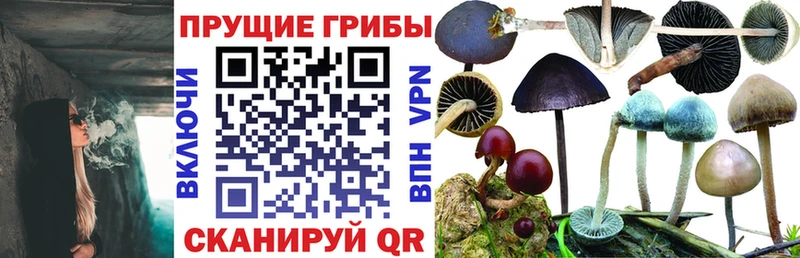 Галлюциногенные грибы Cubensis  Крым 